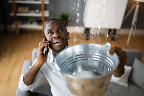 Best Local water damage restoration  in River Edge, NJ