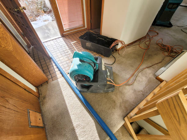 Best Basement water damage restoration  in River Edge, NJ