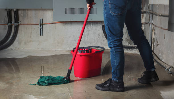 Best Residential water damage restoration  in River Edge, NJ