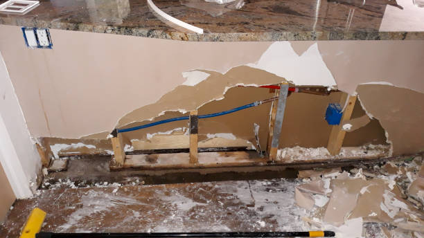 Best Local water damage restoration  in River Edge, NJ