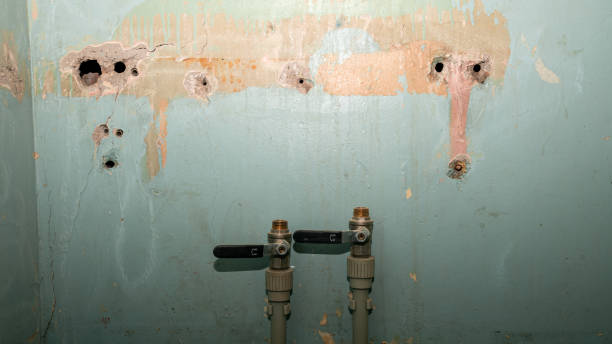 Best Flooded house restoration  in River Edge, NJ