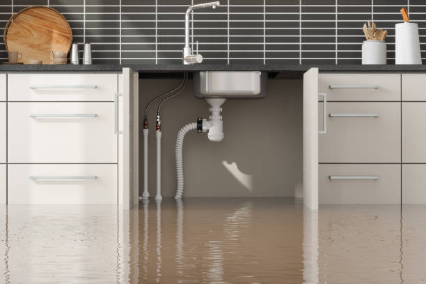 Best Commercial water damage restoration  in River Edge, NJ