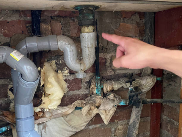 Best 24-hour water damage restoration  in River Edge, NJ