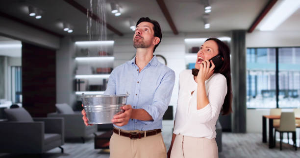 Best Commercial water damage restoration  in River Edge, NJ